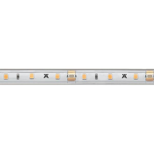 Hafele LED2063 Şerit LED 12V 4.8W/m 5000K 5m