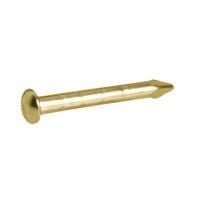 Hafele Yuvarlak Başlı Dekoratif Çivi Pirinç Kaplama 1,6x15mm