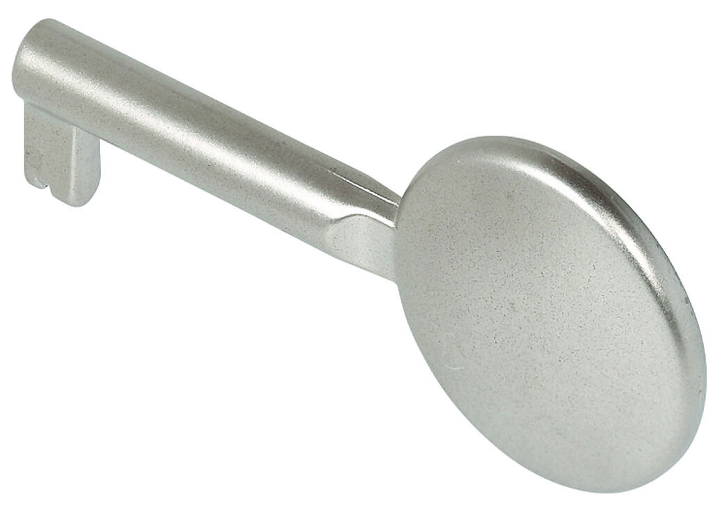 Häfele Dekoratif anahtar etkili şaft uzunluğu 40 mm Nikel kaplama Mat 204.60.680