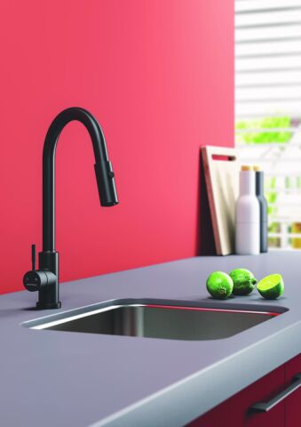Häfele PABLO PULL Eviye Bataryası Spiralli Çift 440 mm Mat siyah 577.70.001