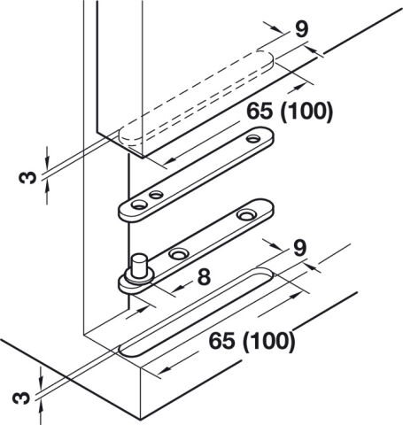Häfele Pivot menteşe Çelik aynı flanşlar ile 65 mm Çinko kaplama 20 kg 361.03.511