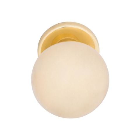 Hafele POMOLI Topuz Kapı Kolu Seti Parlak Altın