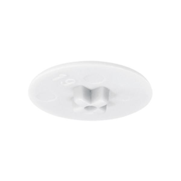 Hafele MINIFIX Kapak Beyaz 15mm 12-13mm